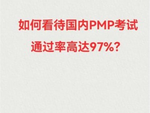 97去干_如果 97 是一个任务或计划，我应该如何去执行它？