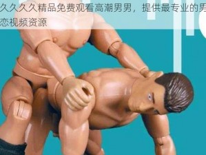 久久久久久精品免费观看高潮男男，提供最专业的男同性恋视频资源