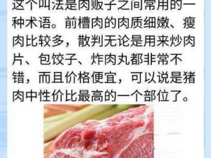 肉多到炸的现代-现代社会的肉多到炸，是丰盛还是负担？