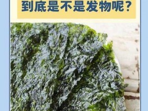 幻塔紫菜深度解析：营养丰富的海洋蔬菜，品质口感一览无余