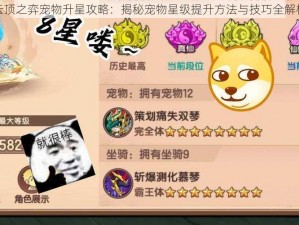 云顶之弈宠物升星攻略：揭秘宠物星级提升方法与技巧全解析