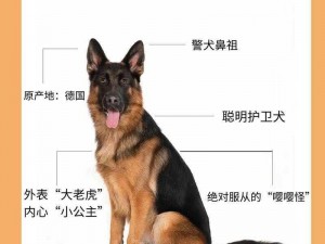 畸形18牧羊犬、为什么畸形 18 牧羊犬会成为热门话题？