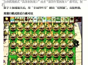 格斗宝贝钻石获取攻略：高效方法助你快速累积钻石