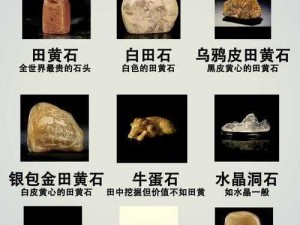 迷你世界寿山石深度解析：属性等级全面展示与品质评估