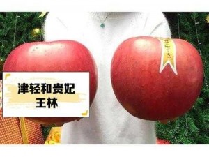 日本成熟iphone;日本成熟 iphone，你想知道的都在这里