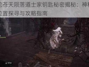 卧龙苍天陨落道士家钥匙秘密揭秘：神秘钥匙位置探寻与攻略指南