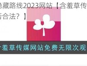 含羞草传媒隐藏路线2023网站【含羞草传媒隐藏路线 2023 网站是否合法？】