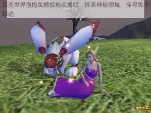 完美世界抱抱兔捕捉地点揭秘：探索神秘领域，探寻兔子踪迹