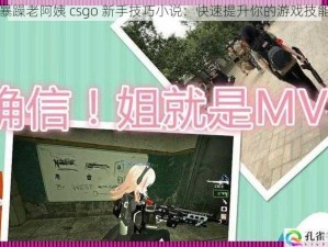 暴躁老阿姨 csgo 新手技巧小说：快速提升你的游戏技能