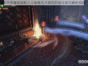 关于恶魔城暗影之王蜘蛛与大狼狗的战斗技巧解析视频