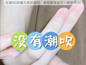 吹潮吧(用嘴为我吹潮吧，我想要体验不一样的感觉)