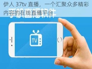 伊人 37tv 直播，一个汇聚众多精彩内容的在线直播平台