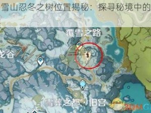 原神雪山忍冬之树位置揭秘：探寻秘境中的精准坐标