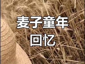 交换-年长的麦子 当年长的麦子遇上交换，会发生怎样的故事？