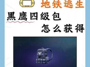 和平精英安装包下载攻略：安全高效获取安装包的途径与方法