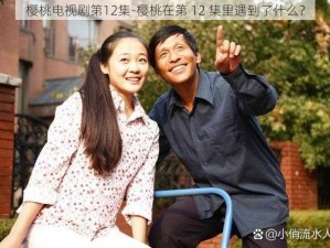 樱桃电视剧第12集-樱桃在第 12 集里遇到了什么？