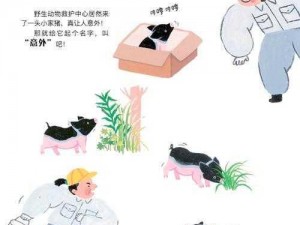 寻找猪猪奇遇记：揭秘猪猪的踪迹与故事