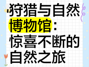 狩猎原野：探索自然与体验狩猎乐趣的绝佳之地简介与游玩体验分享