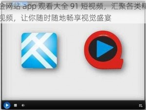 黄金网站 app 观看大全 91 短视频，汇聚各类精彩短视频，让你随时随地畅享视觉盛宴