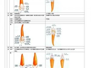 蜀山初章四品尖牙获取攻略：探秘尖牙所在及获取方法全解析