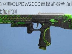 使命召唤OLPDW2000青蜂武器全面解析与性能评测