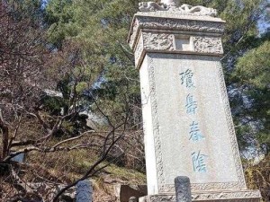 射雕无定坊琼岛春阴答题答案详解：探索真实信息的秘密与琼岛春阴之谜的解答解析