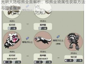 光明大陆棕熊全面解析：棕熊坐骑属性获取方法与图鉴指南