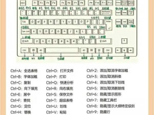 《艾尔登法环新手指南：全面解析键盘操作玩法》