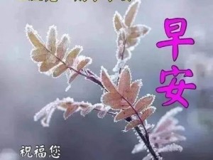 早安大人不要舔—早安大人，为何要舔？