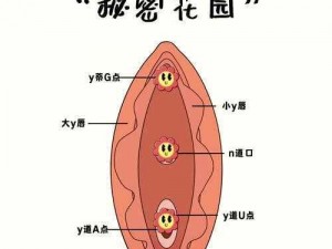 揉小花园的基础手法教学图解 揉小花园的基础手法教学：私密部位按摩技巧图解