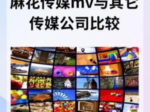 麻花传媒 MV 与其它传媒公司比较——独特视角，引领行业新风潮