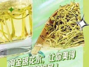 小和尚金银花原文免费：清热解毒的天然植物饮品