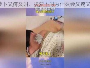 拔萝卜又疼又叫、拔萝卜时为什么会又疼又叫？