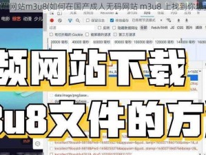 国产成人无码网站m3u8(如何在国产成人无码网站 m3u8 上找到你想要的内容？)