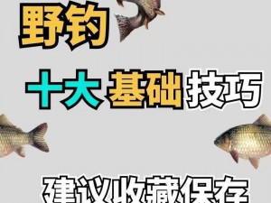 荒岛求生：钓鱼竿制作秘诀与高效钓鱼技巧进化揭秘