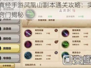 九阴真经手游凤凰山副本通关攻略：实战技巧与窍门揭秘