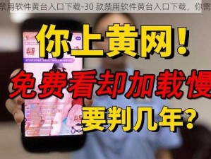 30款禁用软件黄台入口下载-30 款禁用软件黄台入口下载，你需要吗？