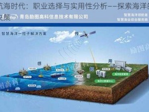 大航海时代：职业选择与实用性分析——探索海洋的智慧决策