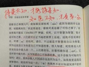 《探寻失落的真知：正法炬书中兰纳真的踪迹》