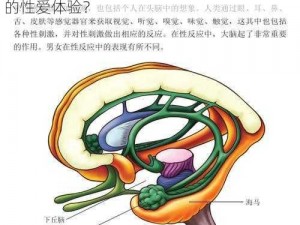 慢慢抽插6分钟快快抽插2分钟_如何在 8 分钟内完成慢慢抽插 6 分钟快快抽插 2 分钟的性爱体验？