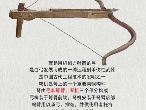 猎手之王：弩与双棍之争，谁主沉浮？武器优劣深度解析