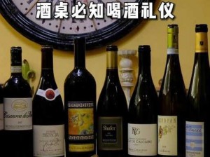 winecourse观看视频_如何在 winecourse 观看视频？