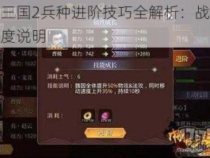 啪啪三国2兵种进阶技巧全解析：战略玩法深度说明