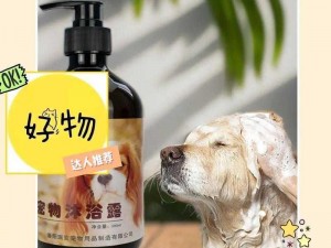 狗狗的东西又硬又烫又臭？试试这款宠物专用清洁用品，快速有效，让你的狗狗重焕活力