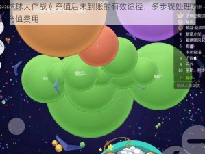 解决《球球大作战》充值后未到账的有效途径：多步骤处理方法来帮你追回充值费用