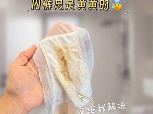 www成人18色情美女内内图片;请问在哪里可以找到www 成人 18 色情美女内内图片？