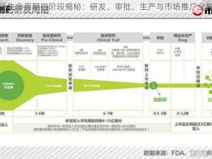 药品生命周期四阶段揭秘：研发、审批、生产与市场推广全解析