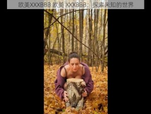 欧美XXXBBB 欧美 XXXBBB：探索未知的世界