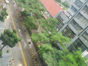 暴风雨的夜里在公司加班8 在暴风雨的夜里，我独自在公司加班到 8 点