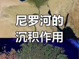 尼罗河流域的地理、生态与人文探析：河流演变与社会发展的交汇点